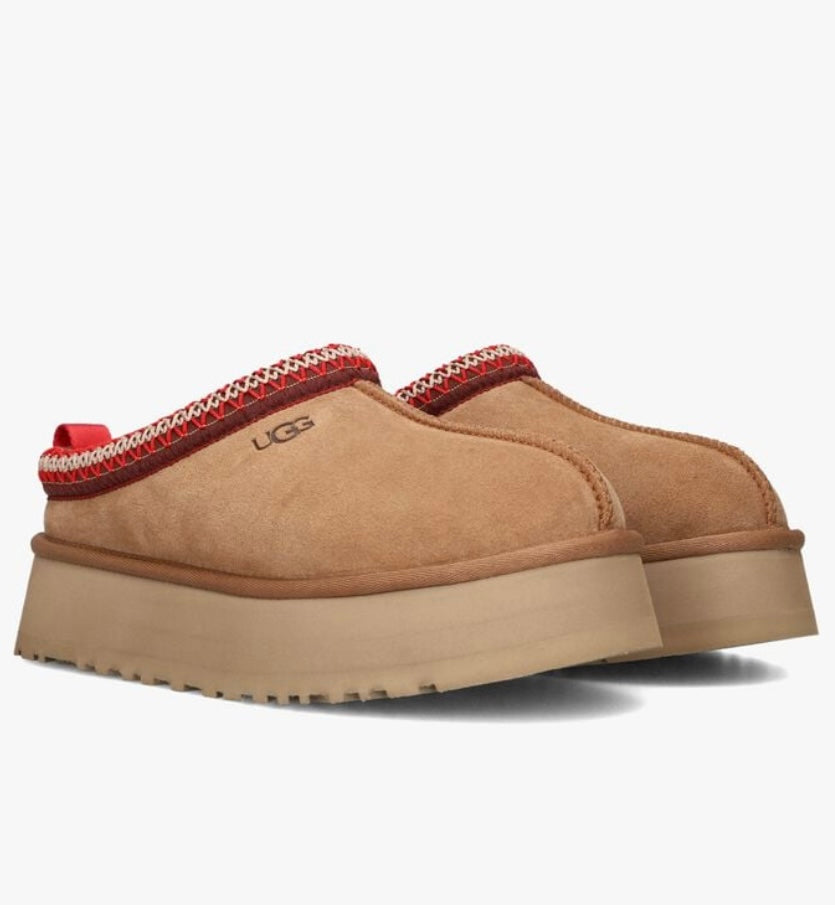 Uggs tazz