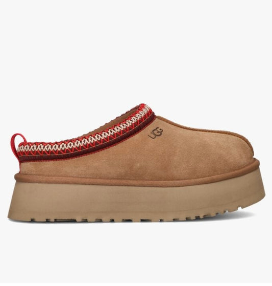 Uggs tazz